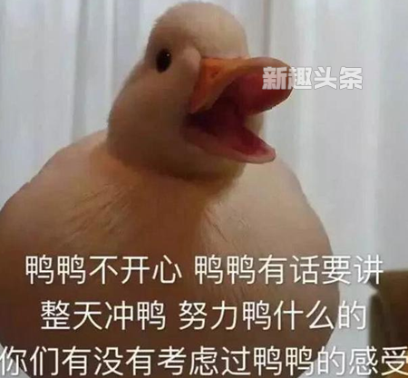 duckƵĹ duckر