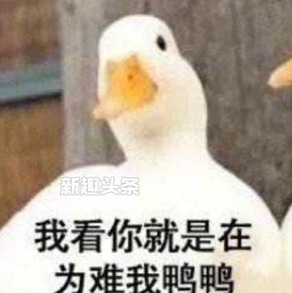 duckƵĹ duckر