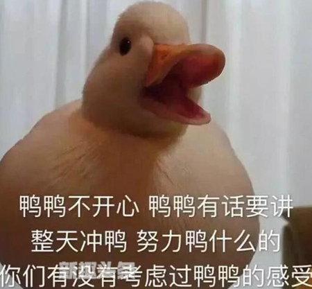 duckʲô